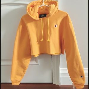 Champion Cropped Hoodie (size:S)